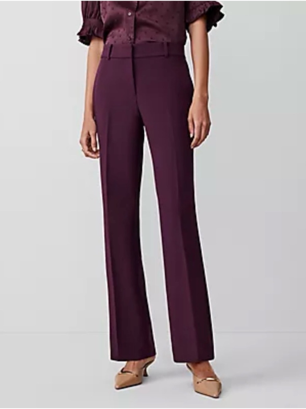 NWT Anne Klein Petite Jayne Trouser Pant Plum Purple | Career Work Pant